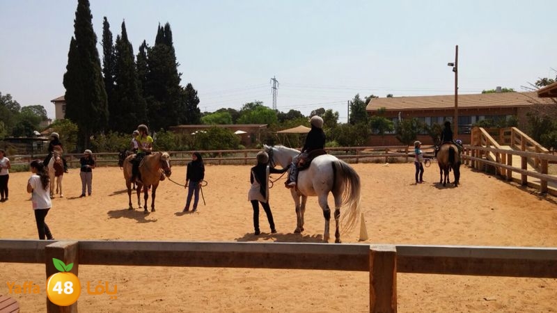 re7lasjafshq (7).jpg